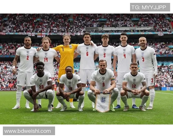 波黑足球明星现役球员名单及其在国际赛场上的表现分析